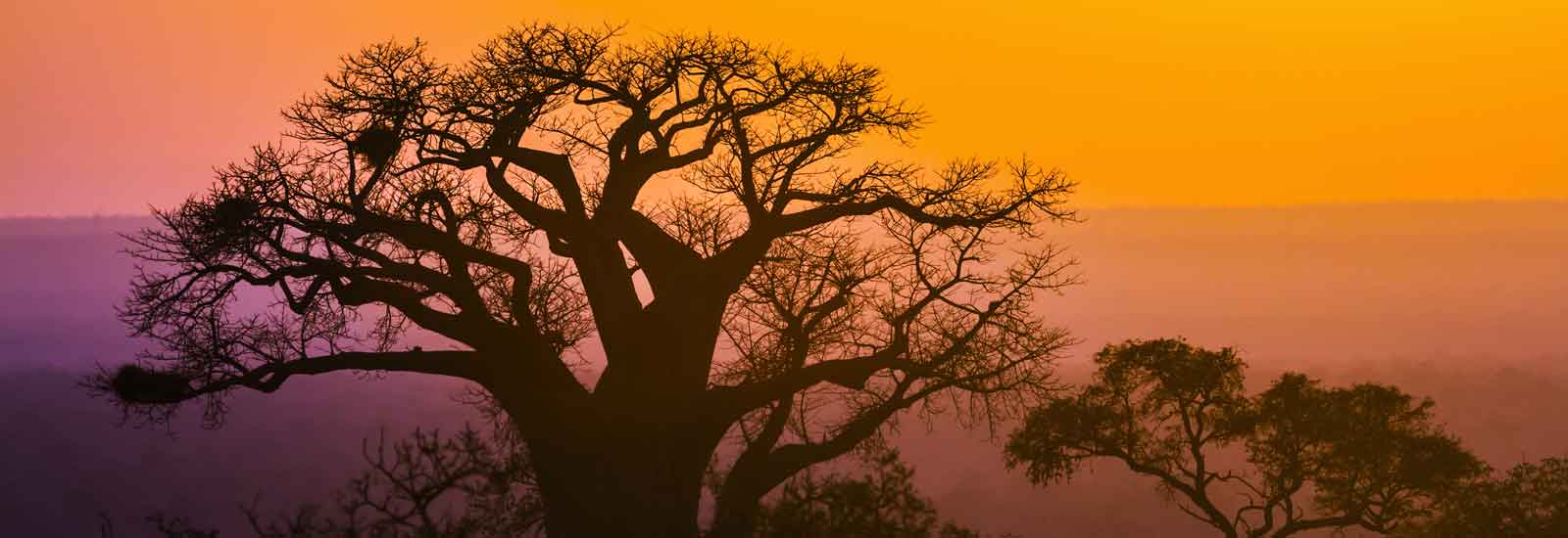 30 September 2018: A Moment of Reflection Part 2 Africa