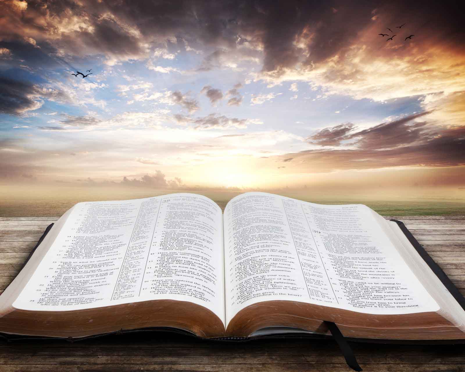 Compassion from the Father The Word